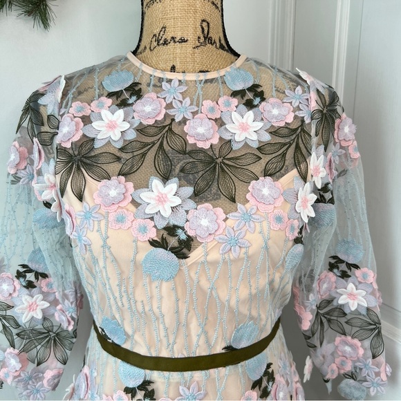 Anthropologie Foxiedox Floral Appliqué Fit and Flare Mini Dress - Picture 3 of 16